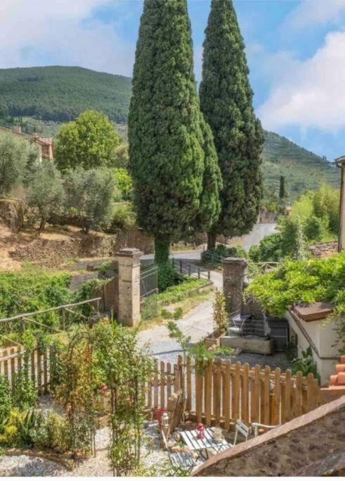 Uno Spazio Di Relax In Toscana Apartment Buti ภายนอก รูปภาพ